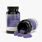 Reishi Calm: Relaxation Gummies
